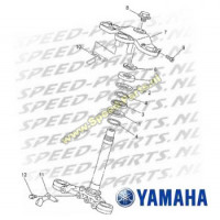 Balhoofdconus boven - Yamaha TZR